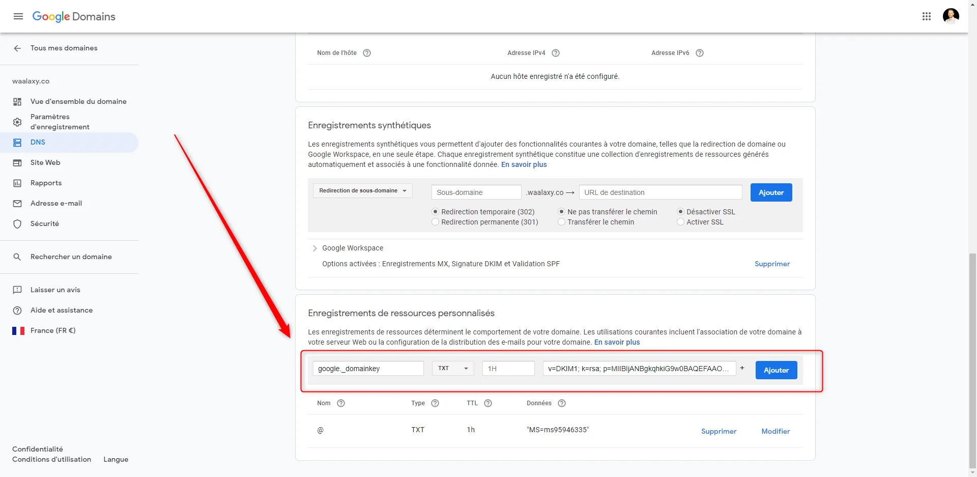 paramétrer waalaxy google domains host name