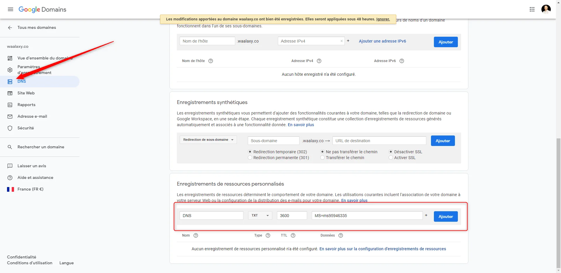 paramétrer waalaxy google domains DNS