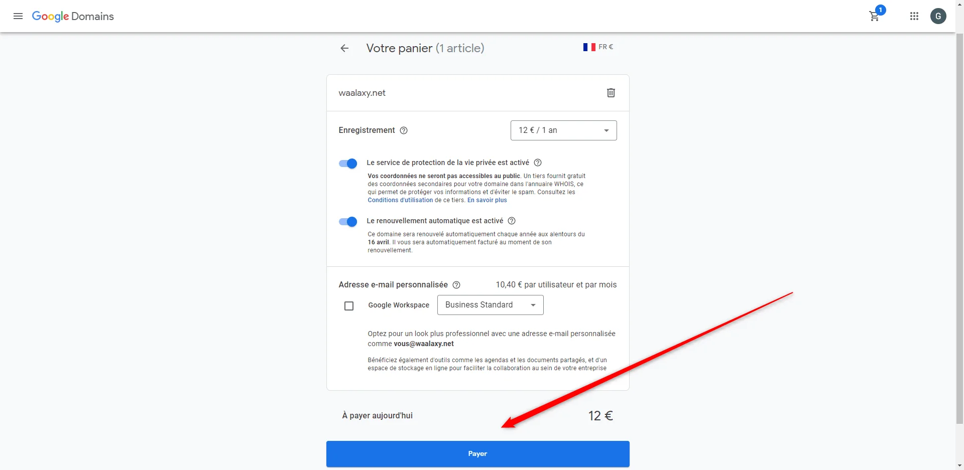 paramétrer waalaxy google domains payer