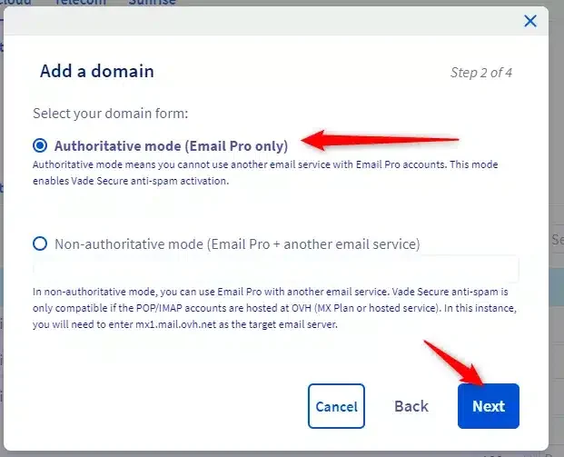 Add domain authoritative mode email pro