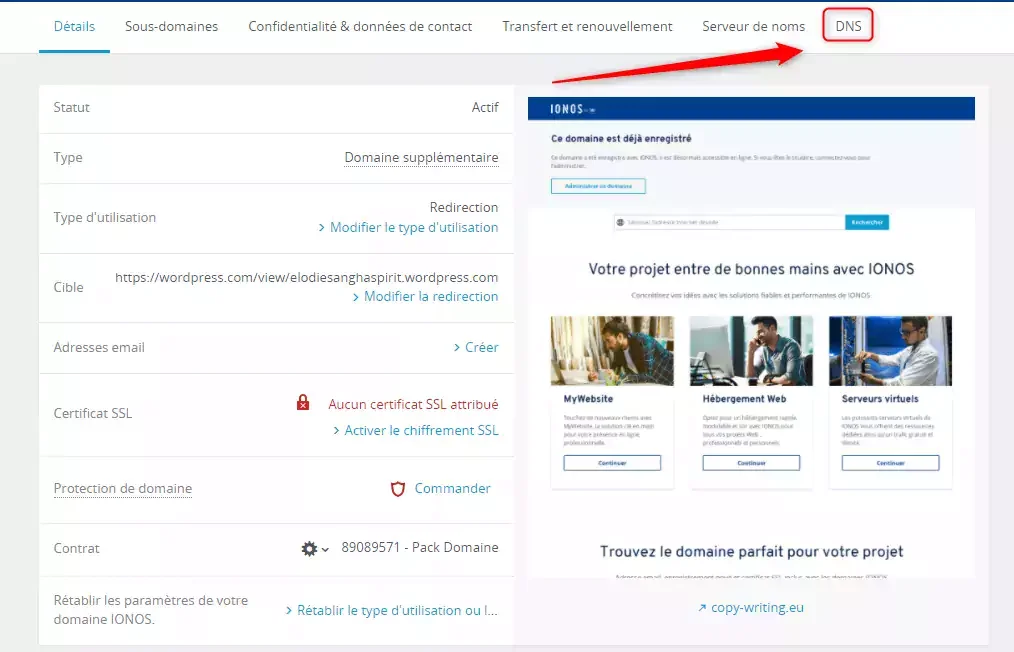 Paramètres DNS domaine Ionos