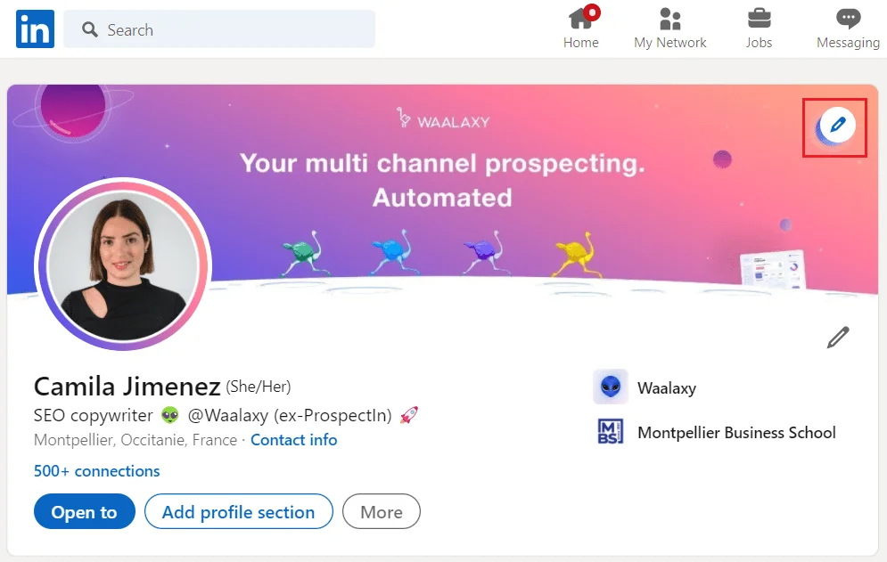 Profil LinkedIn Waalaxy Camila Jimenez
