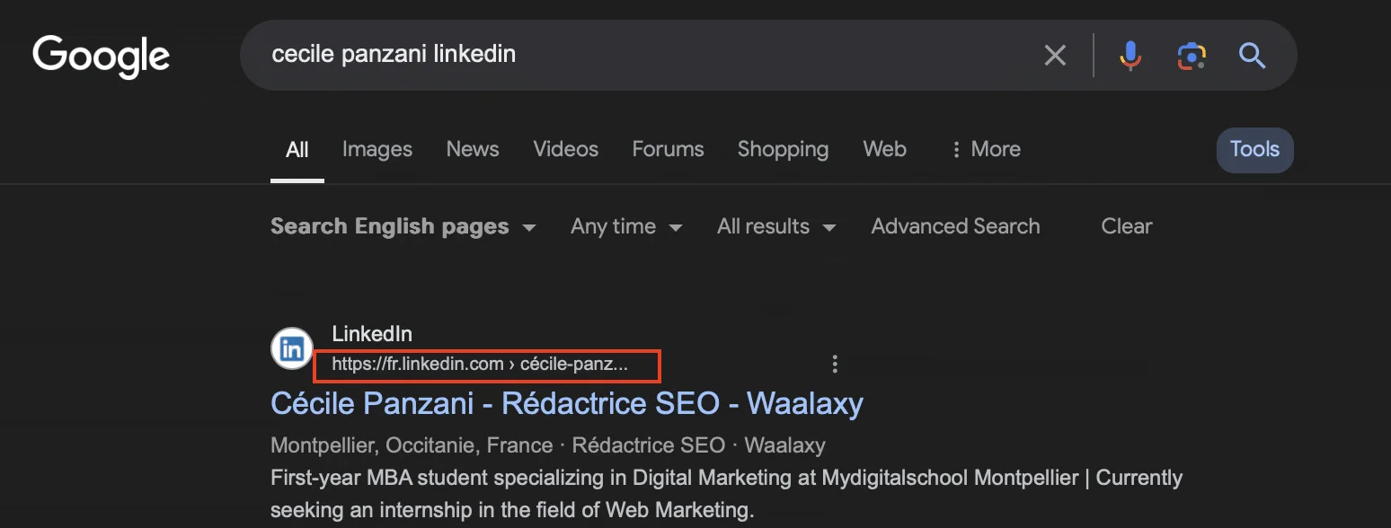 URL do LinkedIn