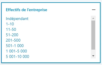 Effectifs de l'entreprise dans les filtres LinkedIn Sales Navigator.