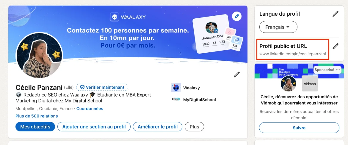 URL LinkedIn