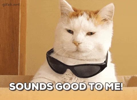 catsunglasses