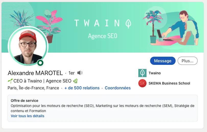 Profil LinkedIn Alexandre Marotel Twaino SEO