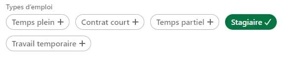Liste des options d'emploi : temps plein, contrat court, temps partiel, travail temporaire, stagiaire (sélectionné).