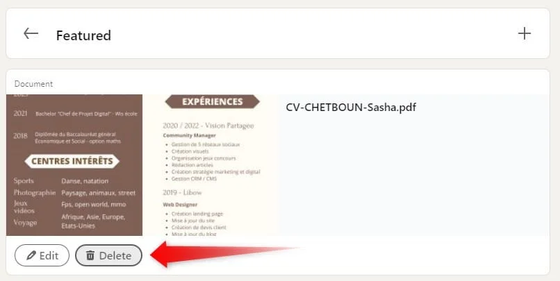 CV Chetboun Sasha expériences PDF