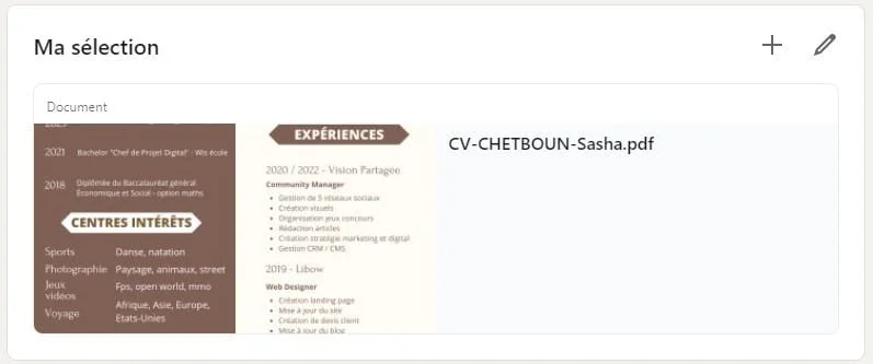 Liste des centres d'intérêt et expériences de travail avec CV Sasha Chetboun.