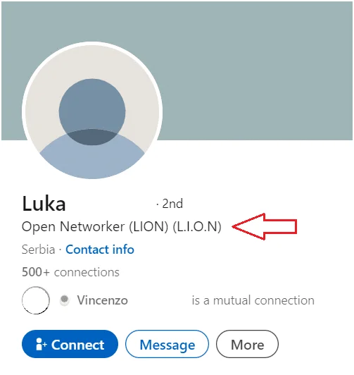 LION LinkedIn