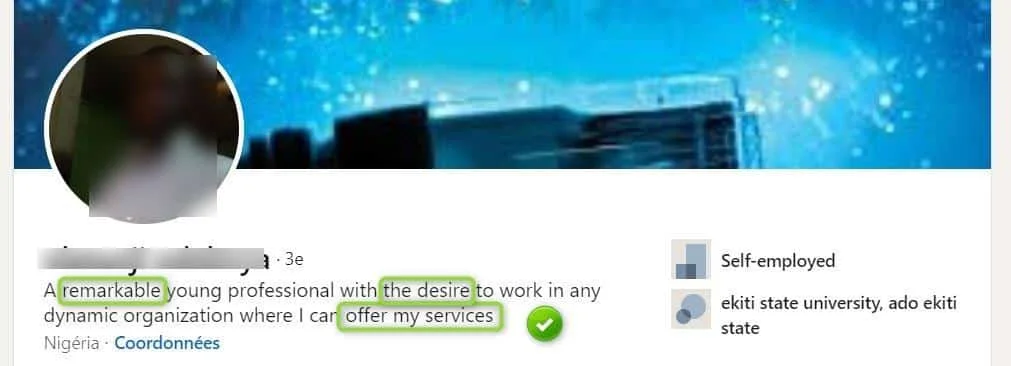 Profil LinkedIn jeune professionnel nigérian