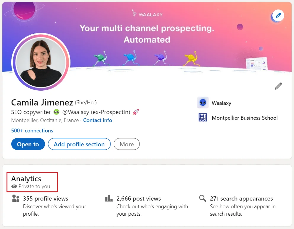 LinkedIn profile analytics