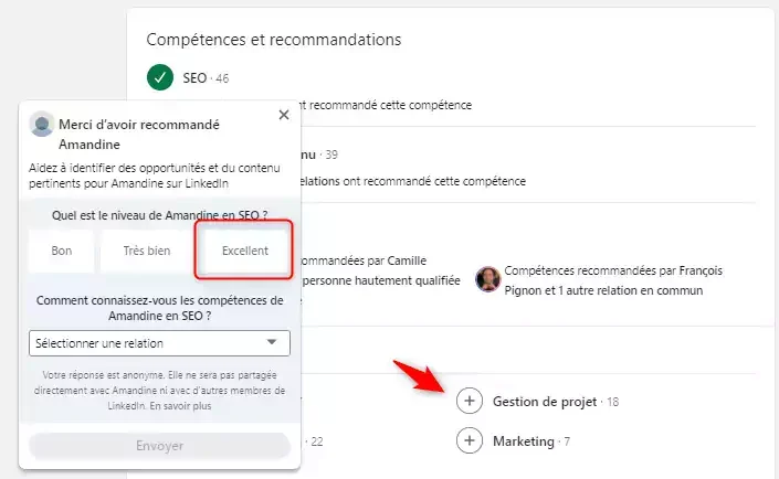 Compétences recommandations SEO LinkedIn