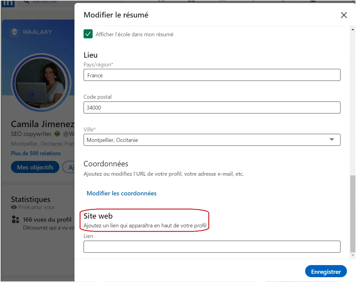 lien URL portfolio linkedin
