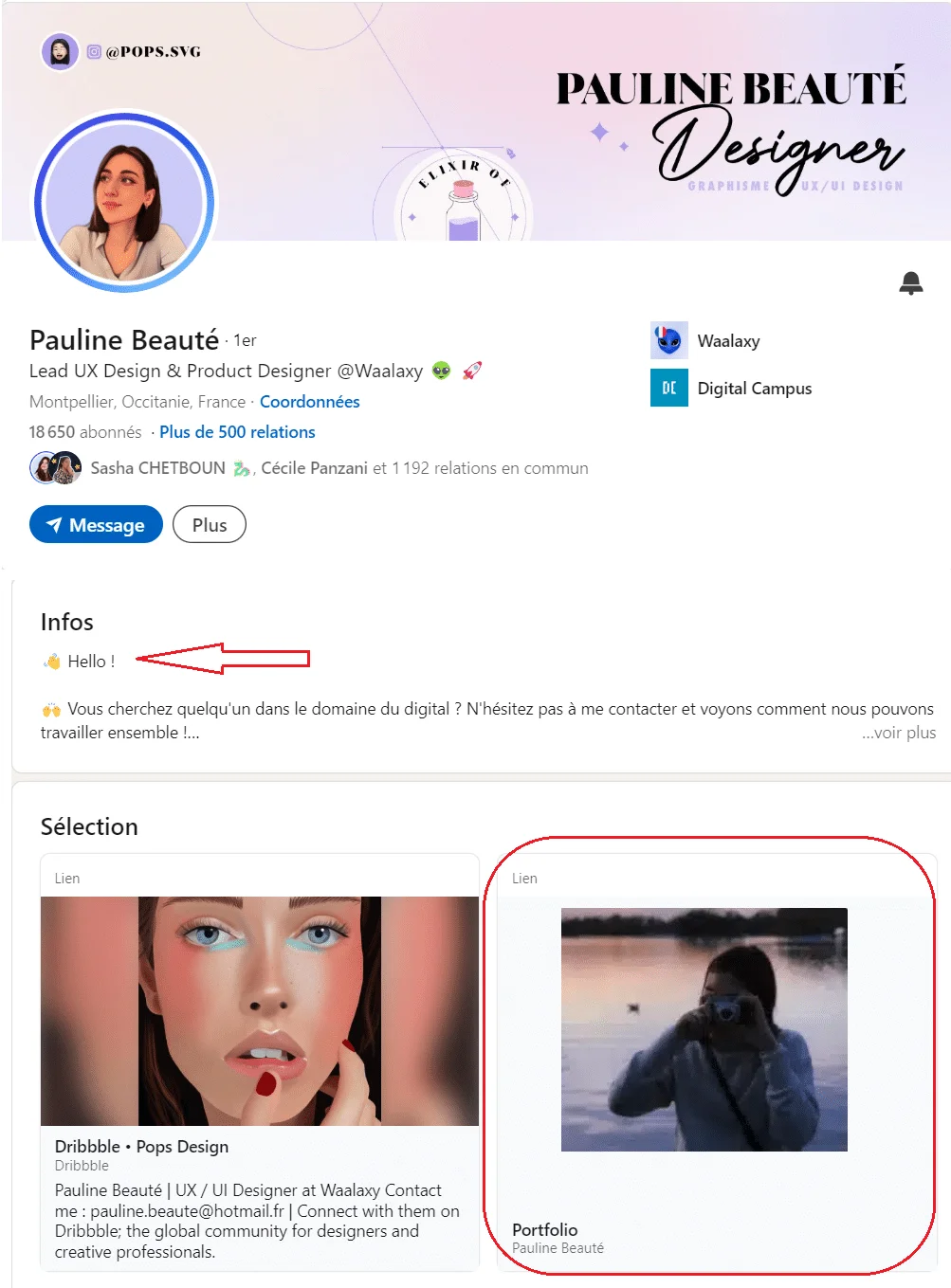 exemple portfolio linkedin