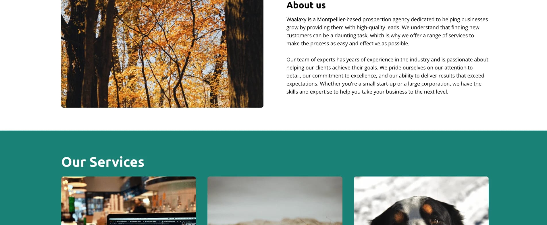 Waalaxy prospection agency Montpellier about us