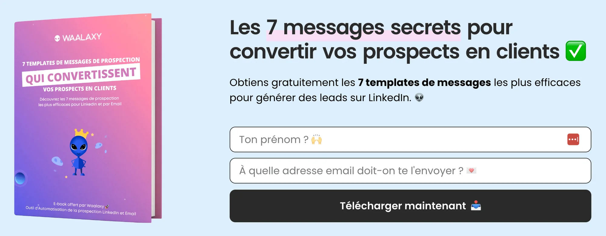 lead magnet - ebook exemple