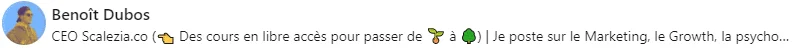 Benoît Dubos CEO Scalezi profil LinkedIn