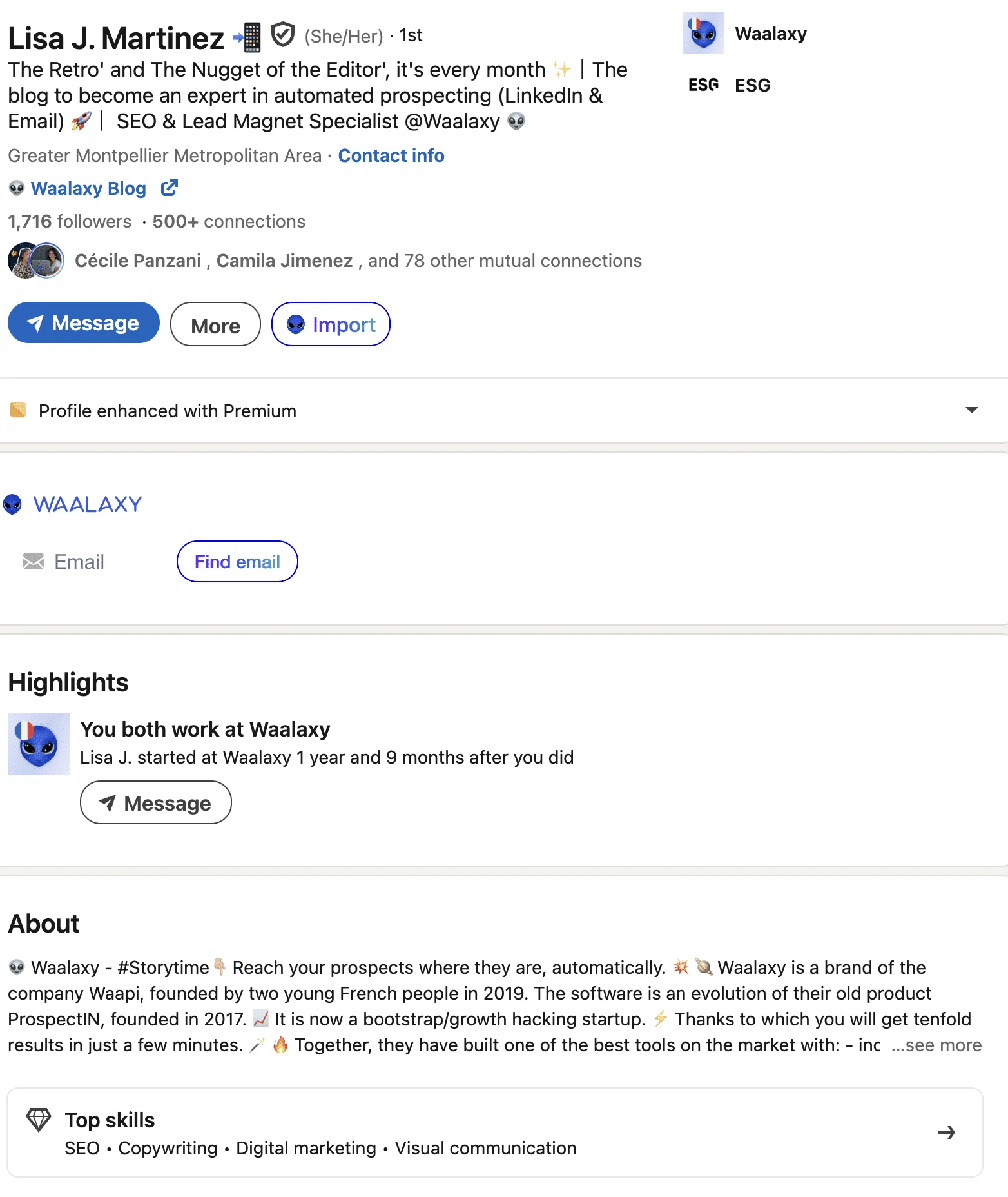 Esempi di riepilogo su LinkedIn