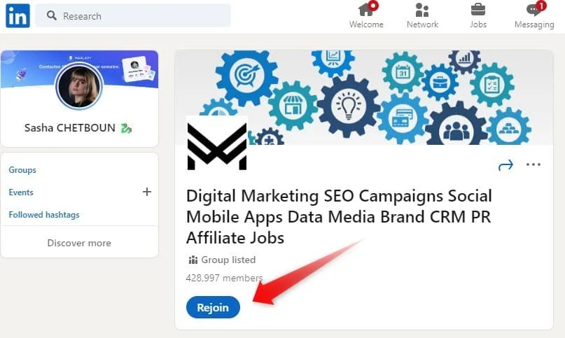 LinkedIn groupe digital marketing campagnes SEO