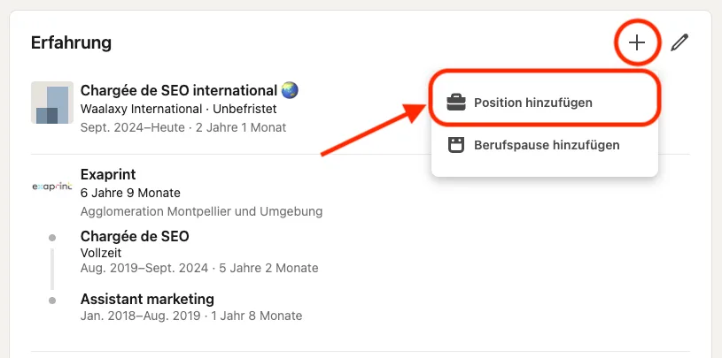 Experience section on linkedin profile de