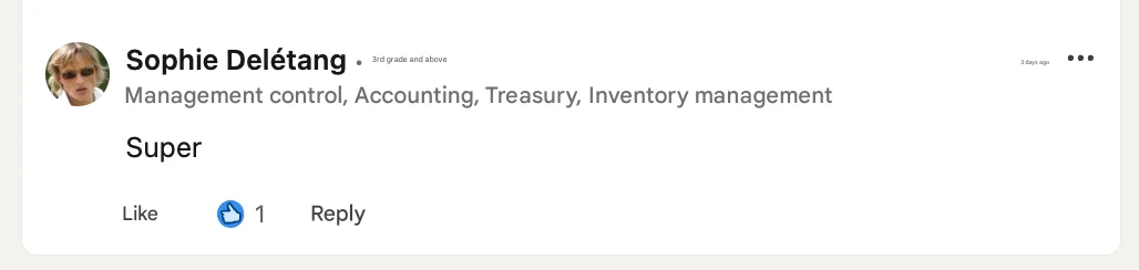 Example of a suspicious LinkedIn comment